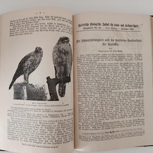 以下が含まれることがあります： 古くなったページが開かれた本で、2羽の猛禽類の白黒イラストが特徴です。ドイツ語のテキストには「Die Schwarzbeinigkeit und die Bakterien-Knollenfäule der Kartoffel」というタイトルが含まれています。