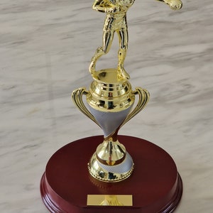 Figurina trofeo di boxe personalizzata da 30 cm su base in mogano fatta a mano. Colore argento e oro. Premio ideale per la boxe, regalo o ornamento