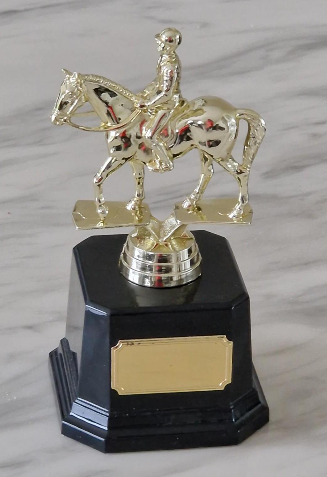 Trofeo personalizzato da 18 cm per cavallo e fantino equestre. Premio equestre ideale, regalo o ornamento