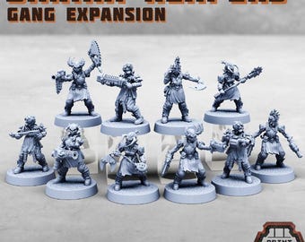 28/32mm Danika Reapers - Gang Expansion Set (Heroic Scale)