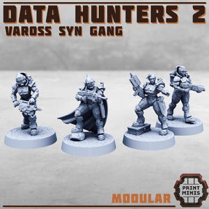 May include: Four grey plastic miniature figures of futuristic warriors, standing on round bases. The figures are holding weapons and are wearing armour. The text "DATA HUNTERS 2 VAROSS SYN GANG" is at the top of the image. The text "MODULAR" is at the bottom of the image.