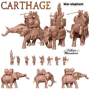 Ancient Carthaginian War Elephant Set