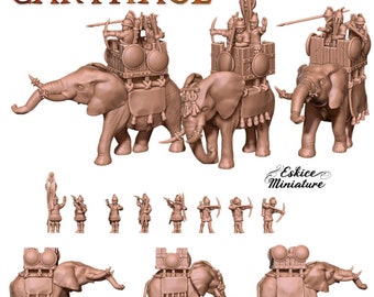 Ancient Carthaginian War Elephant Set