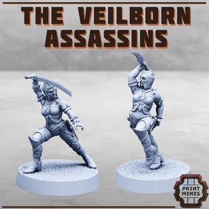 Könnte beinhalten: Zwei graue Miniaturfiguren von weiblichen Assassinen in dynamischen Posen, die Schwerter und Messer schwingen. Der Text "THE VEILBORN ASSASSINS" wird über den Figuren angezeigt. Die Figuren stehen auf runden Sockeln, mit dem Logo "PRINT MINIS" unten rechts.