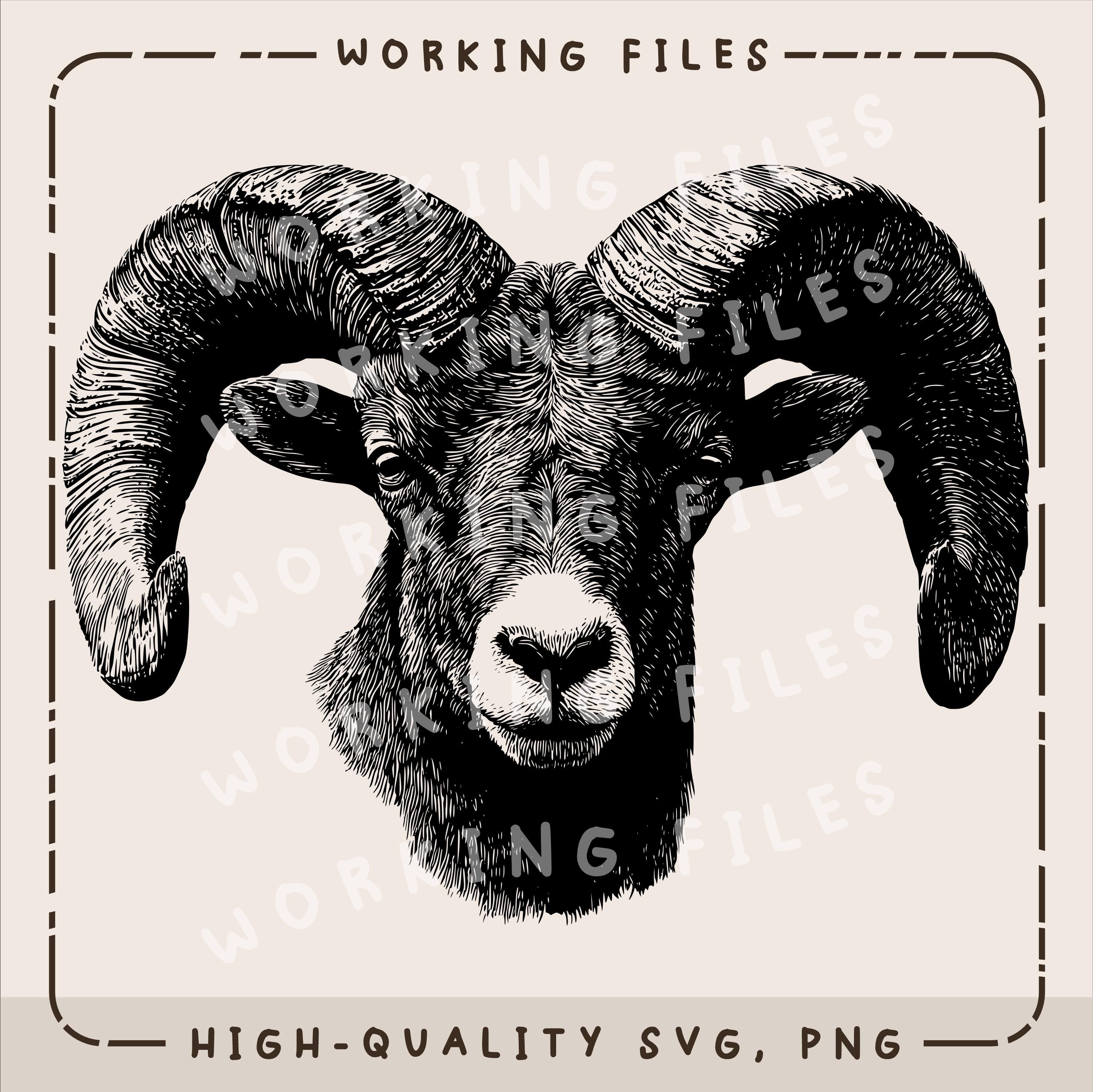 Bighorn Sheep Head - Etsy, image size:2954x2953