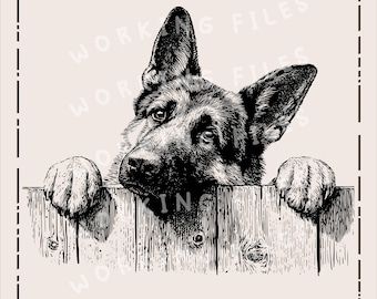 May include: Black and white illustration of a German Shepherd dog peeking over a wooden fence. The dog's paws rest on the fence, and the image includes the text "WORKING FILES" and "HIGH-QUALITY SVG, PNG".