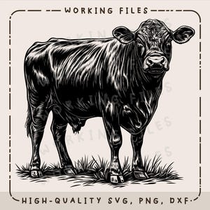 May include: Black and white line art illustration of a cow standing in a field of grass. The cow is facing the viewer and has a detailed, realistic depiction of its features.