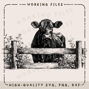 May include: Black and white illustration of a cow peering over a wooden fence. The image has the text "WORKING FILES" at the top and "HIGH-QUALITY SVG, PNG, DXF" at the bottom.