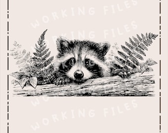 Cute Raccoon SVG, Wildlife Clipart PNG, Woodland Animals Design, Laser Engraving Files, Cutting Boards