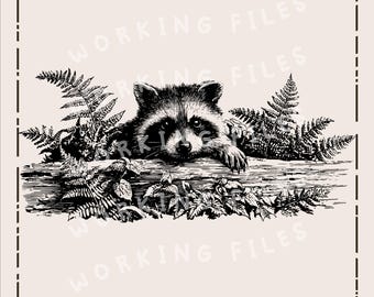 Cute Raccoon SVG, Wildlife Clipart PNG, Woodland Animals Design, Laser Engraving Files, Cutting Boards