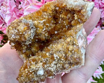 May include: A raw, natural citrine crystal cluster. The crystal features a warm, golden-yellow color with a rough, textured surface. The cluster is held in a hand, with pink flowers in the background.