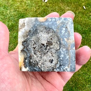 May include: A close-up of a grey and white stone with a dark grey circular pattern in the centre. The stone is smooth and has a natural, organic texture.