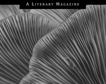Neon Literary Magazine Issue 55 (Print Edition)