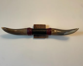 Vintage Longhorn Horns Wall Mount