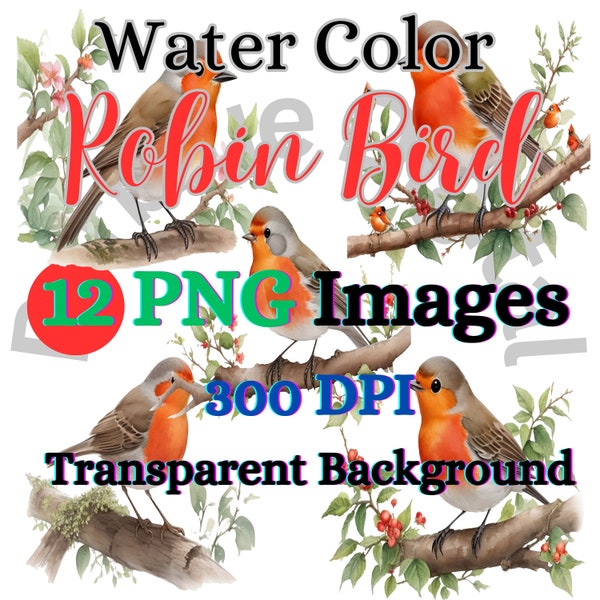 12 Robin Bird With Transparent Backgrounds Clip art,High Quality PNGs,Red-Breasted Robin,Red Robin,Winged Beauty,Robin in Flight | # 112