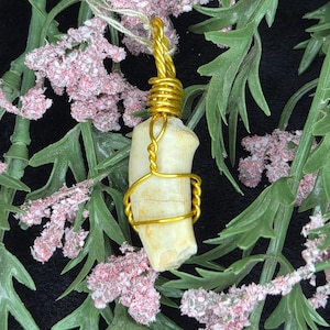 Peut inclure: Un pendentif composé d'un objet incurvé de couleur blanc cassé ressemblant à une dent, enveloppé dans un fil métallique doré brillant. Le fil forme une cage autour du centre et se torsade au sommet pour créer une boucle de suspension.