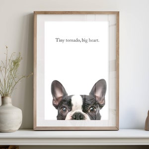 Boston Terrier Bed Etsy Australia
