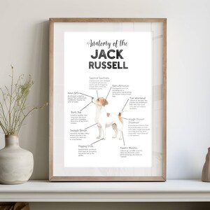 Zabawna sztuka ścienna Jack Russell anatomia psa Jack Russell wydruk sztuka ścienna dla miłośnika psów prezent dla miłośnika psów do wydrukowania dekoracja ścienna cyfrowe pobieranie