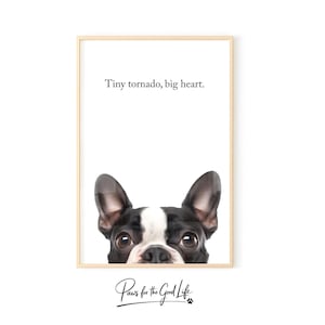 Cute Boston Terrier wall art funny dog quote trendy dog wall decor dog lovers gift dog poster high quality printable digital download print