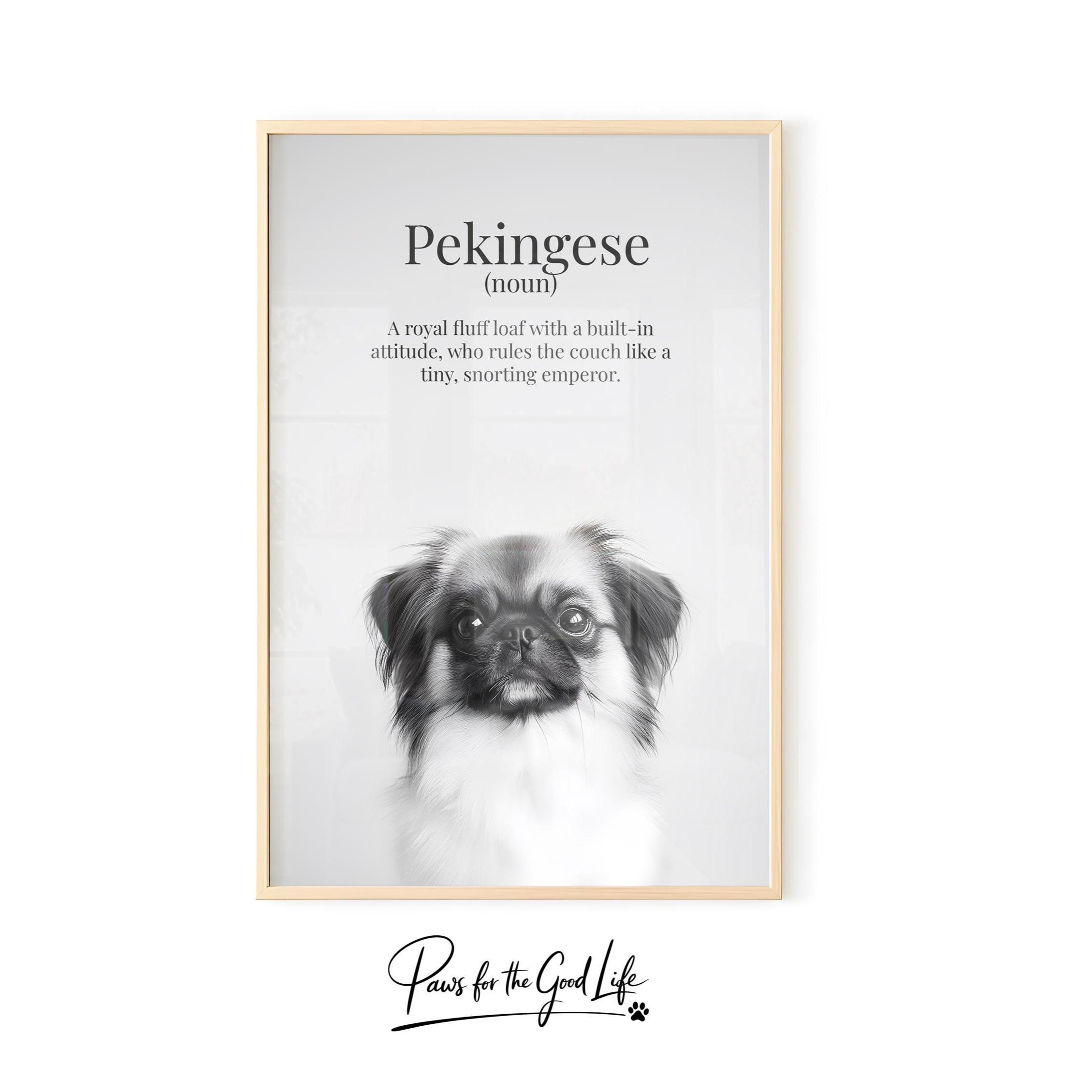 Pekingese Dog Poster UK