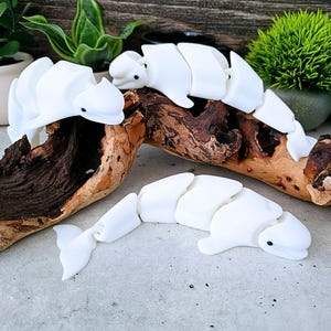 Articulated Beluga Whale Flexi | 3D Printed Marine Animal Fidget | 7.5&quot; Beluga Whale Desk Decor | Gift for Ocean & Beluga Lovers