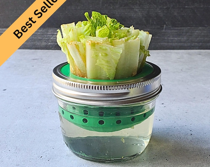 Lettuce and Celery Kitchen Re-Grow Farm | 3D Print for Wide Mouth Mason Jars | Hydroponics Net Pot | Kratky | Indoor Gardening