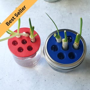 Green Onion Scallion Re-Grow Farm | 3D Print 4 Sizes | Kitchen Gardening | Indoor Hydroponics Kratky | Oui, Standard, Wide Mouth Mason Jars
