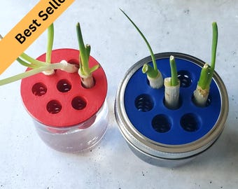 Green Onion Scallion Re-Grow Farm | 3D Print 4 Sizes | Kitchen Gardening | Indoor Hydroponics Kratky | Oui, Standard, Wide Mouth Mason Jars