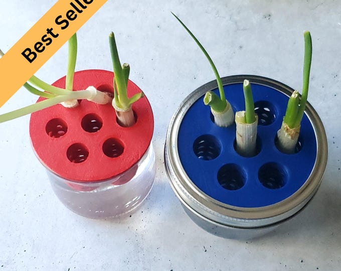 Green Onion Scallion Re-Grow Farm | 3D Print 4 Sizes | Kitchen Gardening | Indoor Hydroponics Kratky | Oui, Standard, Wide Mouth Mason Jars