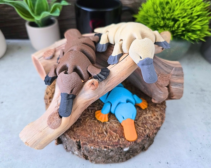 Articulated Platypus Flexi Fidget: 3D Printed Australian Animal