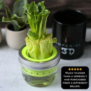 Może przedstawiać: Zielony plastikowy pierścień znajduje się na szklanym słoiku z wodą i zieloną, liściastą rośliną rosnącą w środku. Słoik ma srebrną pokrywkę. Tekst "MUCH THICKER THAN A VERSION I HAD PURCHASED FROM A DIFFERENT SELLER." znajduje się pod słoikiem.