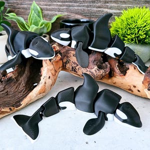 Articulated Orca (Killer Whale) Flexi | 7.5 Inch 3D‑Printed Realistic Ocean Animal Fidget | Gift for Marine‑Life Lovers