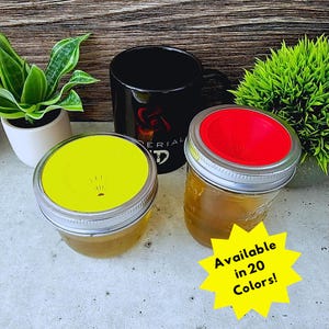 Fruit Fly Trap Mason Jar Insert: 3D Printed DIY Pest Control