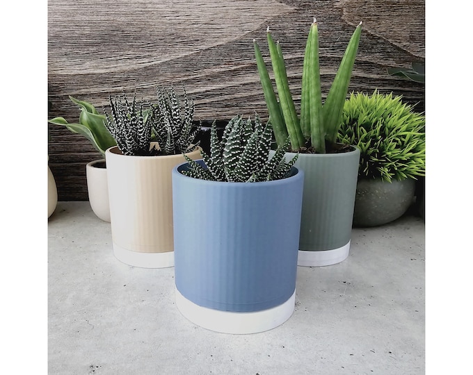 Ribbed Succulent Planter Pot | 3 Inch 3D Printed Propagation Pot w/ Drain Hole & Tray | Minimalist Boho Chic Design | 7 Contemporary Colors