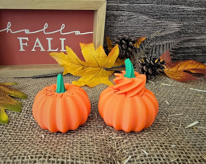 Vortex Pumpkin Passthrough Fidget | 3D Printed Sensory Stress Relief Fidget | Fall Gift for Kids Adults | Montessori | Autumn Giveaway