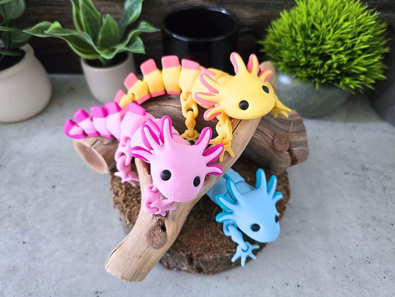 May include: Three articulated axolotl figures in yellow, pink, and blue. Each figure features a segmented body, external gills, and black eyes. The yellow and pink axolotls are positioned on a piece of driftwood, while the blue one rests below.