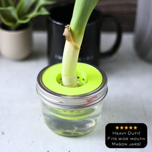 May include: A clear glass jar with a silver lid holds water and a green insert, with a green vegetable stem. The insert has small holes. Text on a black box reads "Heavy Duty! Fits Wide Mouth Mason Jars!"