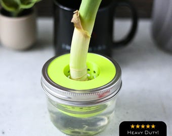 Leek Regrow Farm Kitchen Hydroponics | Leeks Starter | 3D Print for Standard & Wide Mouth Mason Jars | Net Pot |  Kratky Indoor Gardening