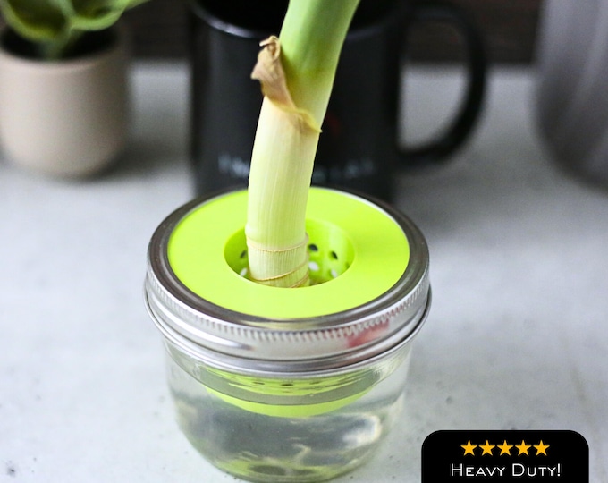 Leek Regrow Farm Kitchen Hydroponics | Leeks Starter | 3D Print for Standard & Wide Mouth Mason Jars | Net Pot |  Kratky Indoor Gardening
