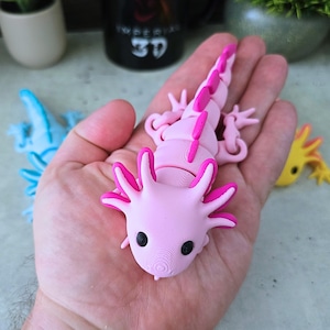 May include: A 3D printed articulated axolotl toy in light pink with bright pink accents on the gills and dorsal fins. The creature features black eyes and a segmented body design that allows for movement. Two additional axolotl toys in blue and yellow are visible in the background.