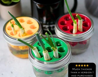 Green Onion Regrow Farm 9-Hole Version | 3D Print | Kitchen Gardening | Hydroponics Kratky | DIY Indoor Gardening | Propagation Station