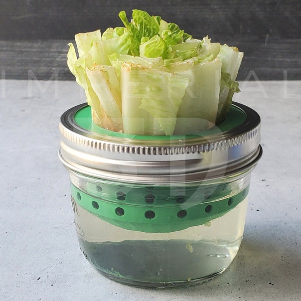 Lettuce and Celery Kitchen Re-Grow Farm | 3D Print for Wide Mouth Mason Jars | Hydroponics Net Pot | Kratky | Indoor Gardening