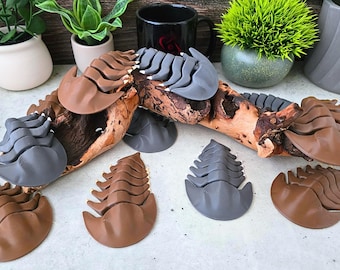Articulated Trilobite Flexi: 3D Printed Prehistoric Sea Creature Dinosaur Lover Gift