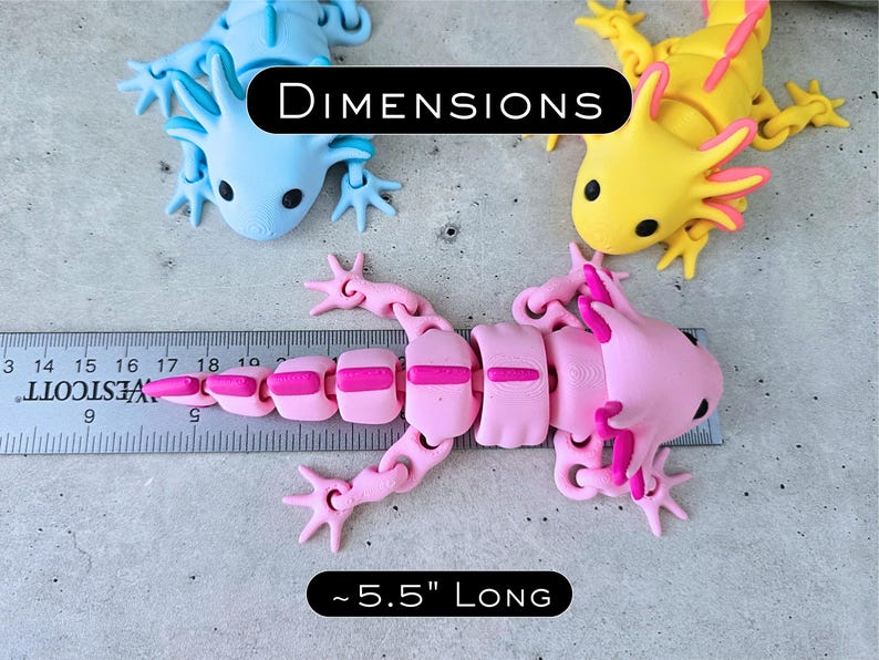 May include: Three articulated axolotl figures in light blue, yellow, and pink. A Westcott ruler is placed alongside the pink axolotl, showing a length of approximately 5.5 inches. The text DIMENSIONS and ~5.5" LONG are printed on the image.
