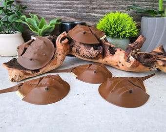 Articulated Horseshoe Crab Fidget: 3D Printed Flexi Marine Animal Toy