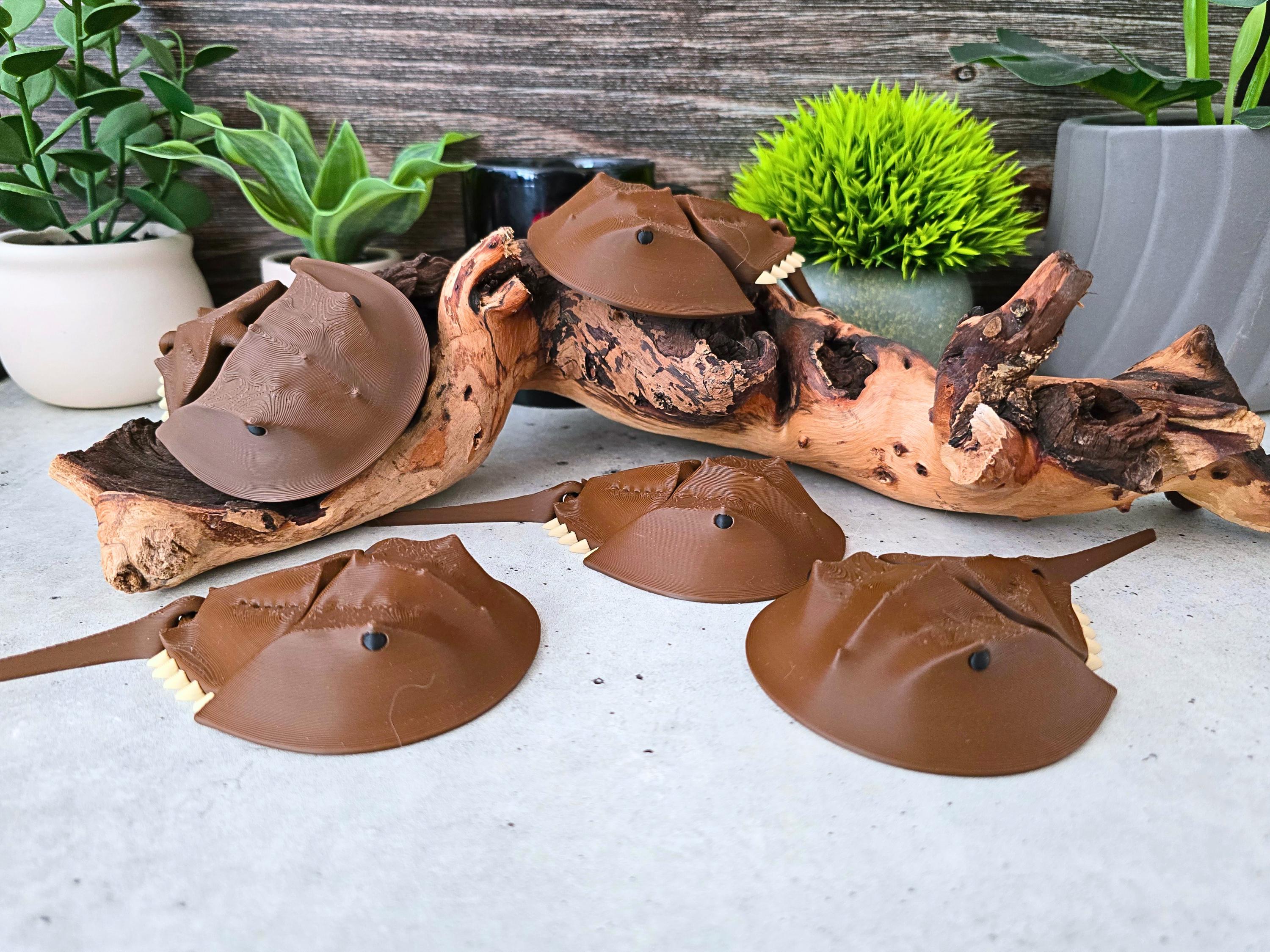 ニセコひらふ立体模型 Articulated Horseshoe Crab Fidget: 3D Printed Flexi Marine Animal