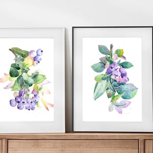 Botanical Poster - blueberry painting - watercolor paintings - art print - floral painting - Blueberry watercolor - Kitchen Wall Art
