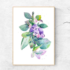 Botanical Poster - blueberry painting - watercolor paintings - art print - floral painting - Blueberry watercolor - Kitchen Wall Art