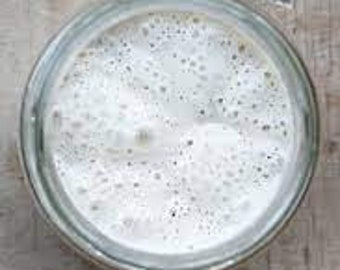 May include: A glass jar filled with a white, bubbly mixture, likely a sourdough starter.