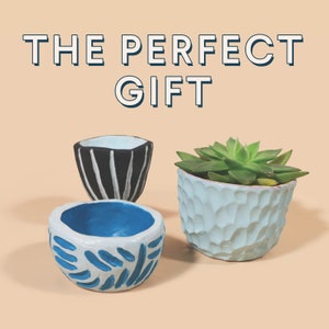 Noah Pottery Starter Kit / Arcilla blanca, Herramientas de cerámica, Pinturas acrílicas, Pinceles / Idea de regalo perfecta / Kit de artesanía imagen 5